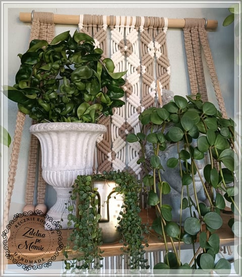 Macrame wall hanging with wooden rod displaying potted plants including trailing succulents and leafy greens